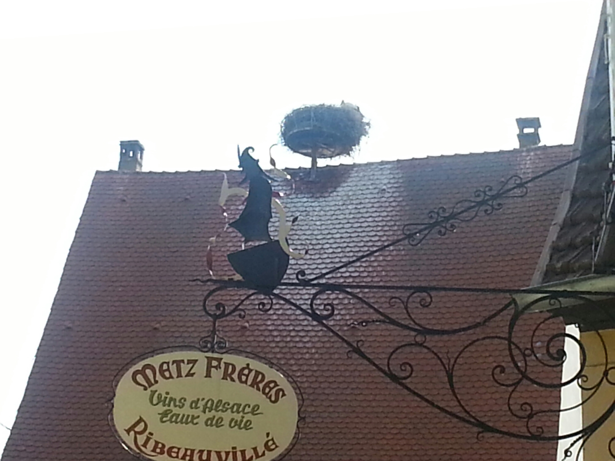 20150711_104024.jpg image