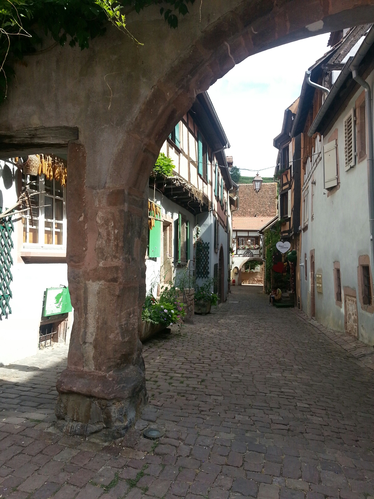 20150713_110053.jpg image